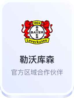 开云体育官方与勒沃库森足球俱乐部合作
